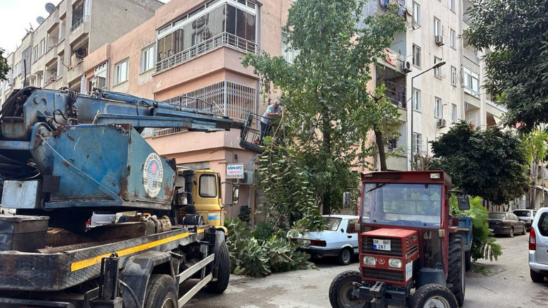 AKDENİZ’DE BUDAMA ÇALIŞMALARI SÜRÜYOR - TÜRKİYE - İnternetin Ajansı