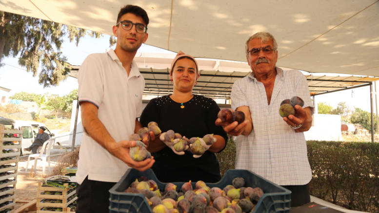 AKDENİZLİ İNCİR ÜRETİCİLERİNE BİLİMSEL DESTEK - TÜRKİYE - İnternetin Ajansı