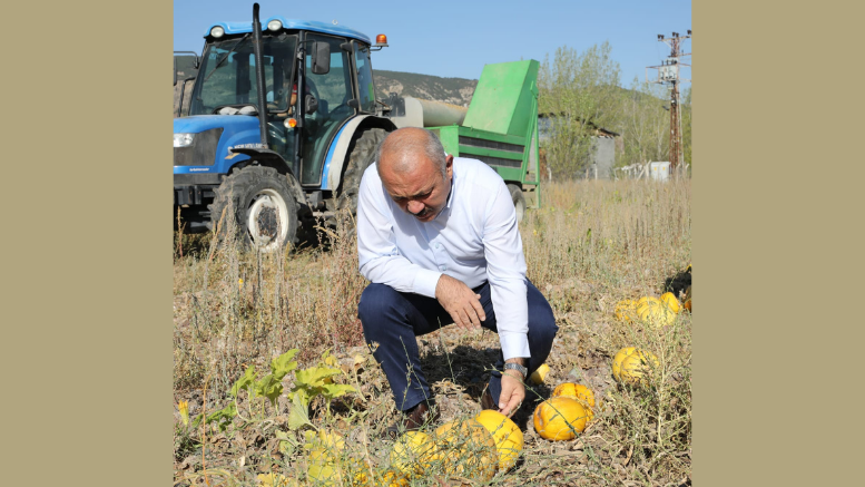 Çankırı Belediyesi Üretmeye Doymuyor - TÜRKİYE - İnternetin Ajansı