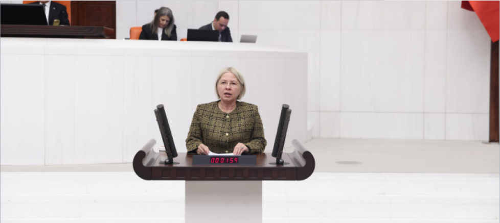 CHP’li Yontar, Atatürk düşmanına Meclis’te tepki gösterdi - GÜNDEM - İnternetin Ajansı