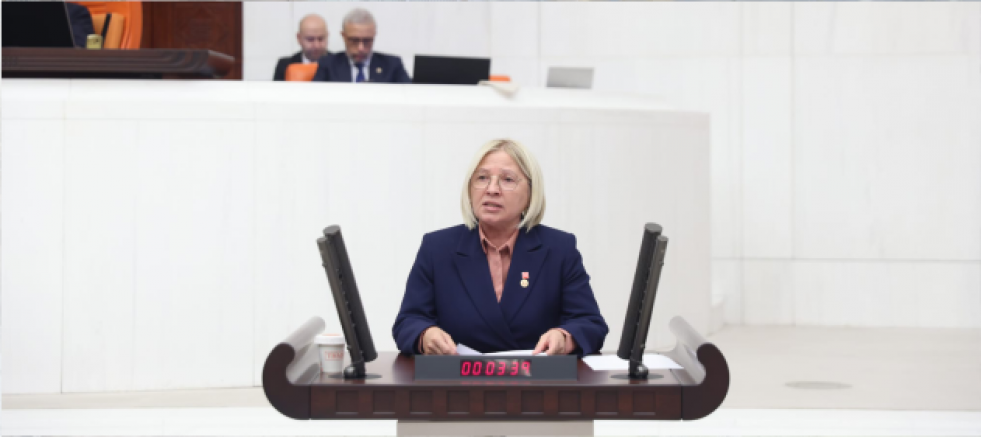 CHP’Lİ YONTAR: EGE AKERSOY SERBEST BIRAKILMALI - GÜNDEM - İnternetin Ajansı
