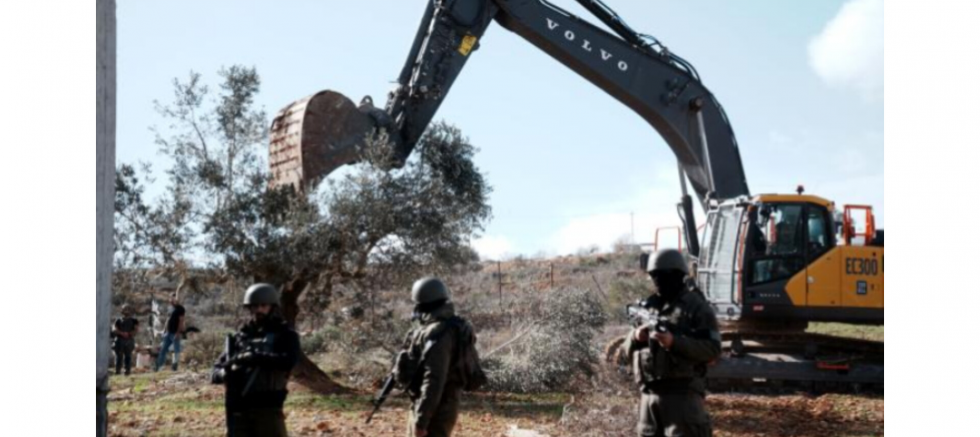 İbrahim Gök: Filistin’in Zeytin Ağaçlarına Yönelik Saldırılar İnsanlığa ve Hukuka Açık Bir Saldırıdır - GÜNDEM - İnternetin Ajansı