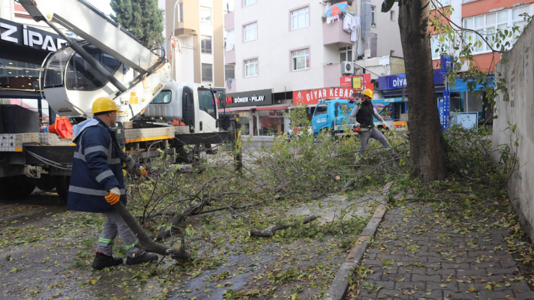 Kartal’da Ağaç Budama Çalışmaları Devam Ediyor - TÜRKİYE - İnternetin Ajansı