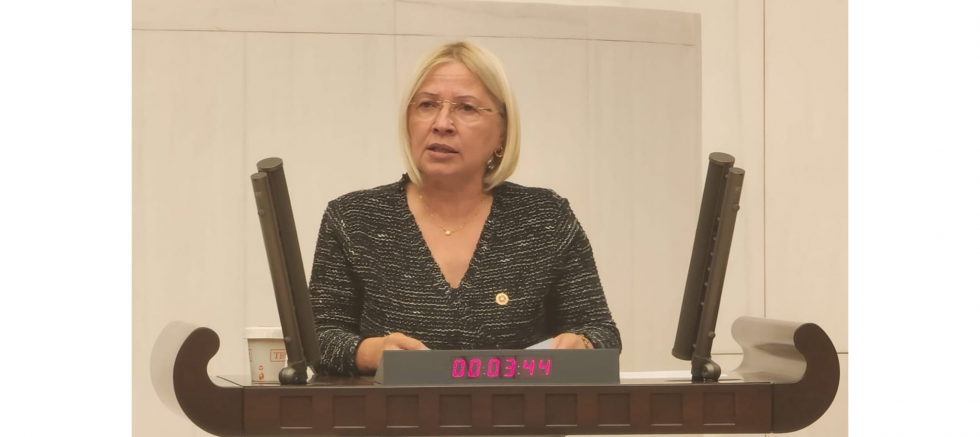 MİLLETVEKİLİ NURTEN YONTAR, GENEL BAŞKAN ÖZGÜR ÖZEL'E YÖNELİK PROVOKASYON GİRİŞİMİNİ KINADI - GÜNDEM - İnternetin Ajansı