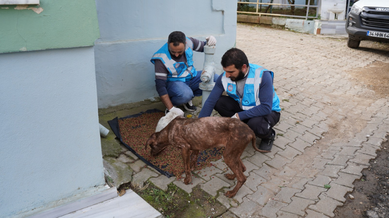 Orhangazi Belediyesi BüyükAile Projesiyle Bayırköy ve Karsakta - TÜRKİYE - İnternetin Ajansı