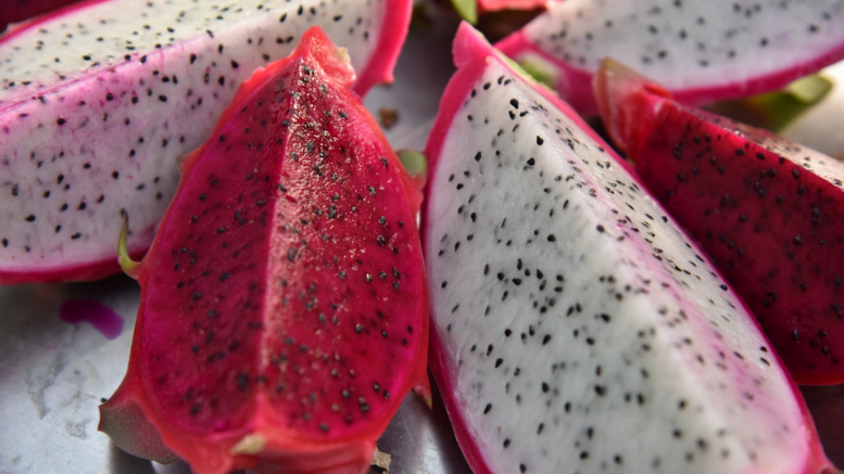 "EGZOTİK DÜNYANIN LEZZETİ: EJDER MEYVESİ MUSTAFAKEMALPAŞA’DA - TÜRKİYE - İnternetin Ajansı