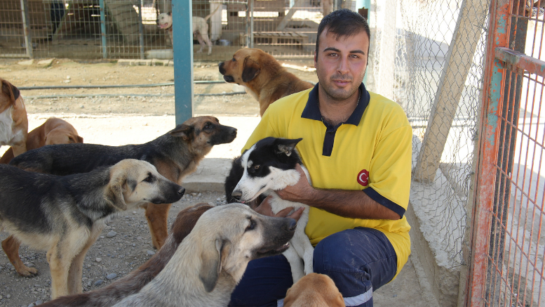 TARSUS BELEDİYESİ EKİPLERİ 5 YAVRU KÖPEK VE ANNEYİ KURTARDI