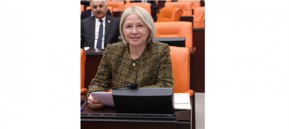 vaCHP’li Yontar, eğitimde yaşanan sorunları Meclis gündemine taşıdı - GÜNDEM - İnternetin Ajansı