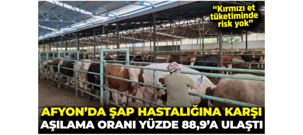 YENİDEN REFAH PARTİSİ AFYON İL BAŞKANI FEHNİ GÜRAY ÇAKIR’DAN ŞAP HASTALIĞI TEPKİSİ - GÜNDEM - İnternetin Ajansı