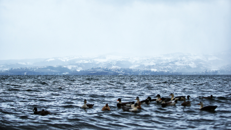 Yüce'den yağış sonrası bir müjde bir çağrı: Sapanca Gölü'ndeki son durum - TÜRKİYE - İnternetin Ajansı